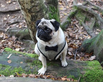 Herringbone Tweed Dog Harness, Wedding Dog, Handmade Harness, Wool Harness, Adjustable Harness, Bow Tie, Pug, Harnesses, Custom Dog Harness