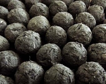 20 Seedballs loose - different varieties of Seedbombs
