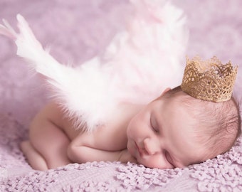 Pink Angel Fairy Feathered Wings