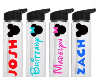 Personalized Disney Water Bottle, Disney 24 oz Tumbler, Skinny Tumbler, Mickey Mouse Tumbler, Minnie Mouse Tumbler, Kids Disney drink cup