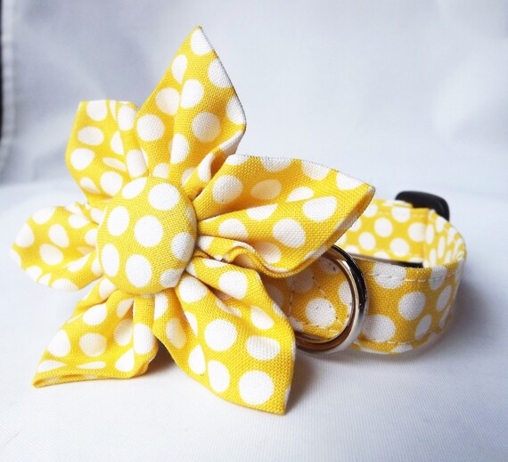 How To Make A Abric Flower For Dog Collar How To Make A Abric Flower For Dog Collar