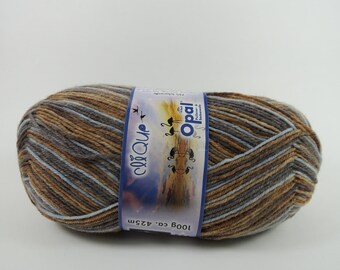Opal Sock Yarn - Best Friends - 8867 - Clique