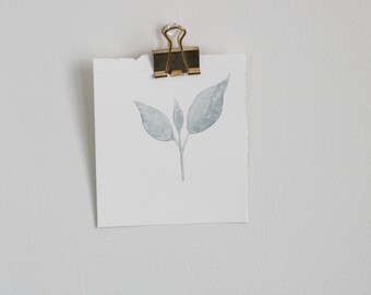 Sprout Print