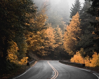 Fall In Washington State, US