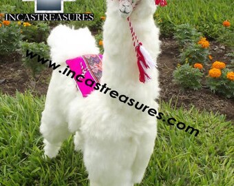 Alpaca Big Stuffed Animal "Adam The Giant llama" FREE SHIPPING Worldwide