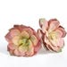 Fake Succulents - Artificial Echeveria Rosette Succulent in Pink - terrarium succulents - artificial succulents - ITEM 01143