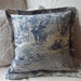 Blue French Toile de Jouy and Blue Checked Cushion