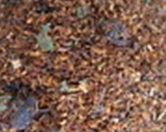Vanilla Rooibos Tea