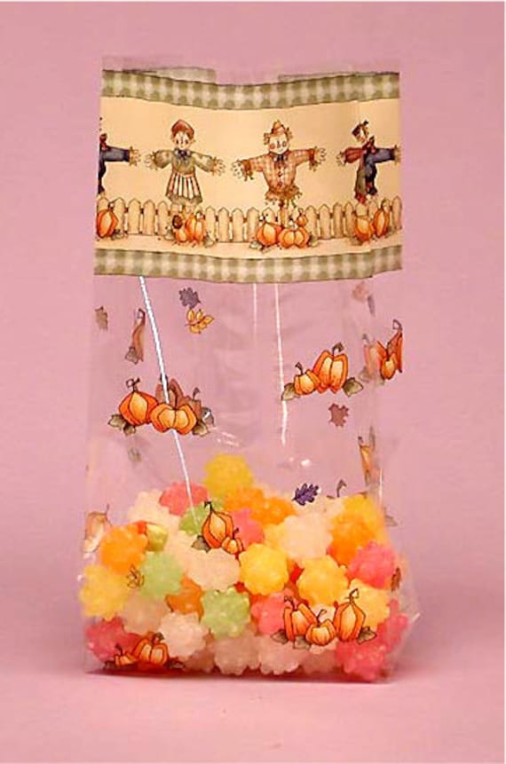 Make Your Holidays More Beautiful With Holiday Print Cello Bags