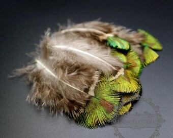 10pcs 4-7cm golden green peacock bird feather DIY jewelry findings for dream catcher supplies 1506021