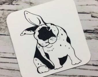 Funny Bunny - Peter Rabbit Inspired Ink Drawing - 2.5" Refrigerator Magnet