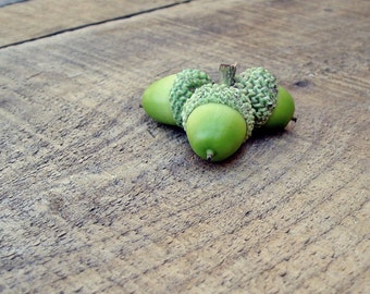 Acorns Green Photo 5x5 Signed Print Wall art Nature Photography Rustic