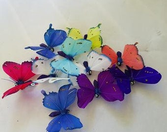 Butterfly and Dragonfly magnets