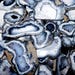 Dendrite Opal Agate Slice Plate Natural White SEA Designer Polished gemstone Cabochon Loose Gemstones For Jewelry Wholesale Lot