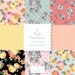 Cabbage Roses PATTERNED BACKGROUND set-instant download-for personal use -digital papers, black and white, pinks, mint, coral