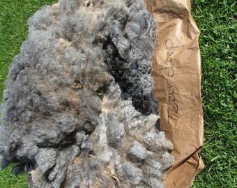 Fleece in the Grease - Teardrop - Price Reduced