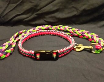 Collar and Leash Set