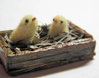 Miniature baby chicks (RESERVED)