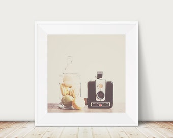 macaron photograph macaron print vintage camera photograph vintage camera print nursery wall art still life photograph macaron art