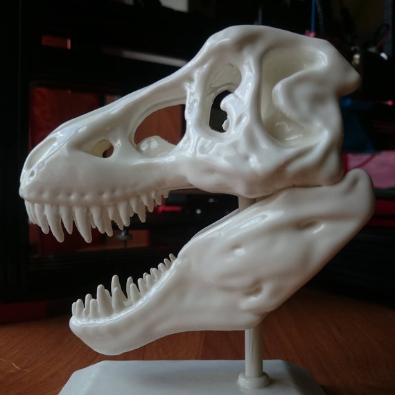 3d printed dinosaur head