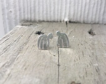 Cactus argent 1