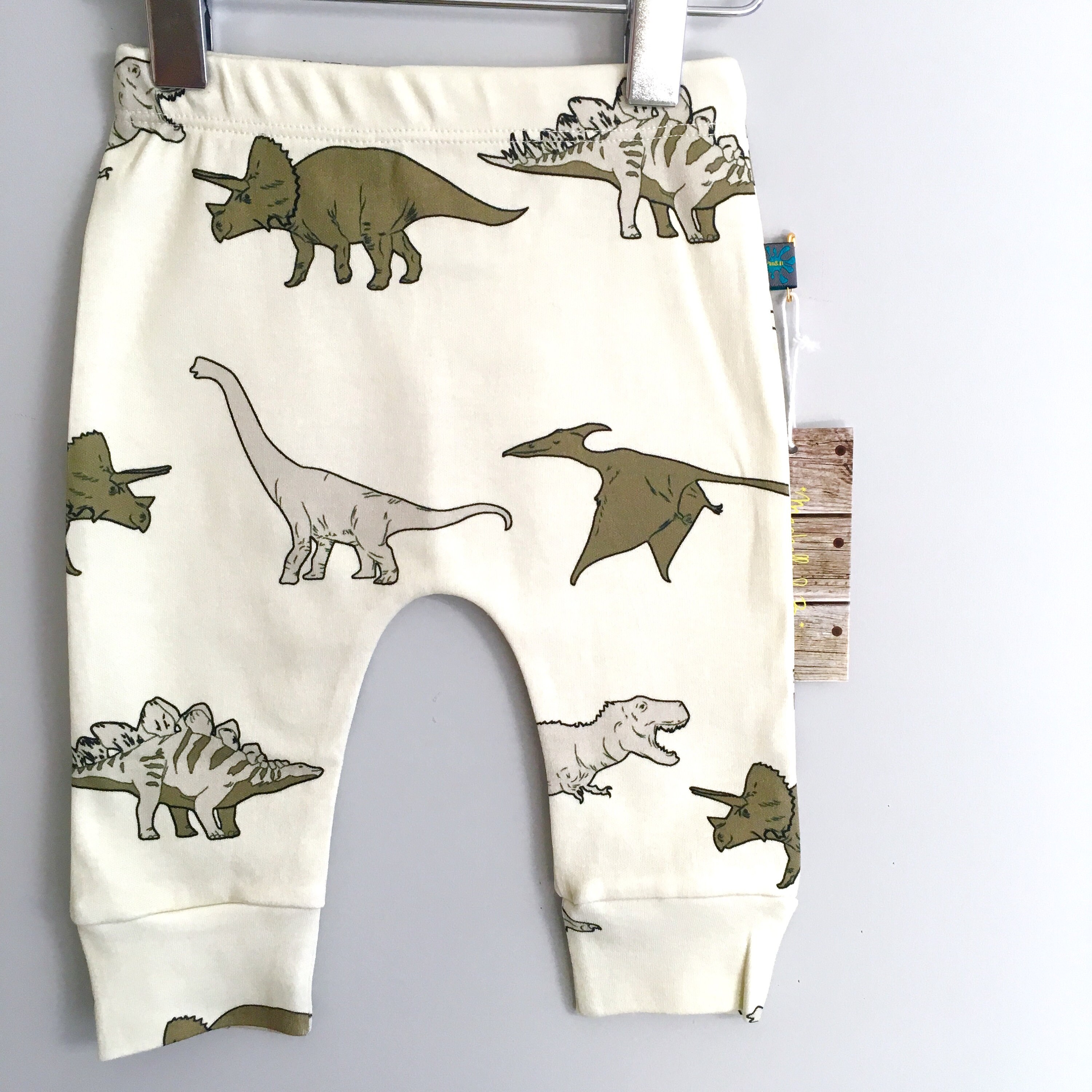READY to SHIP Baby clothes dinosaurs baby leggings organic