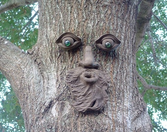 Whistlin' Pete Tree Face