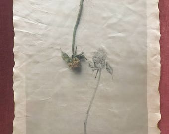 Limited Edition Handmade Silk Print