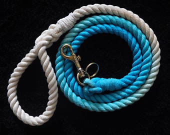 Cute Ombre Dog (Dip Dyed) Lead / Leash - Blue