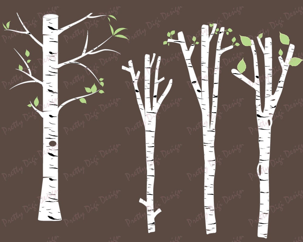 Download White Birch clipart, Tree clipart, Birch vector, Birch PNG ...