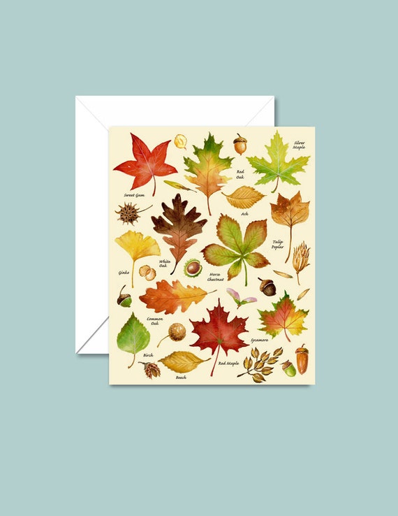 Items similar to Autumn Cards, Leaf Cards, Autumn Leaves Note Cards ...