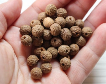 Natural seed or nut beads