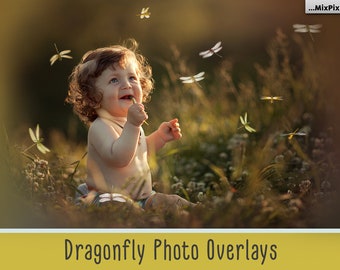Dragonfly overlays, PNG, Photoshop overlay, Firefly butterfly, Photo Overlays, Lightning Bug, Fairies Gleam, Glow Overlays, magic overlays