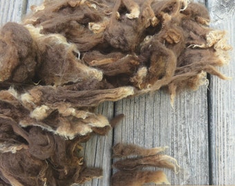 Romeldale Lamb Fleece, Washed, Undyed, Brown, Moorit, 2 Ounces, Natural, Fiber, Wool, Spin, Felt, Mocha