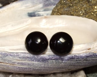 Black Onyx 10mm Stud Earrings Earings Titanium Posts and Clutches Hypo Allergenic Handmade in Newfoundland Integrity