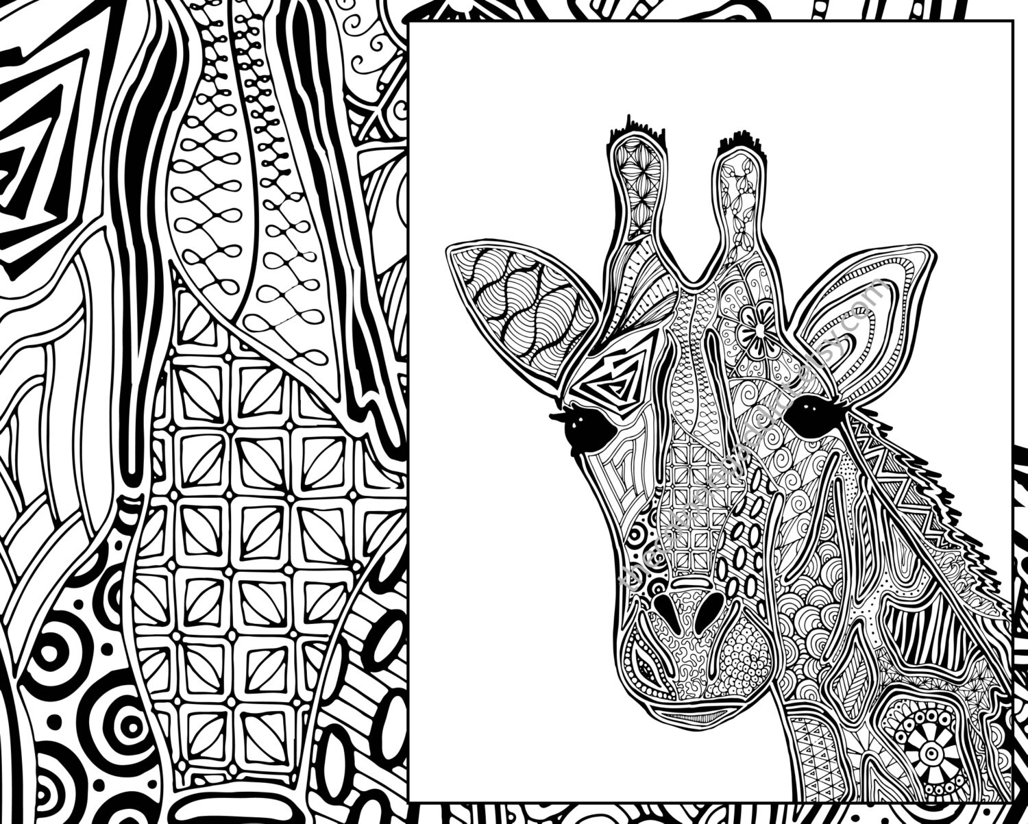 Download giraffe coloring page animal coloring page adult coloring