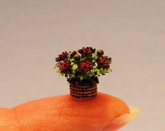 1/4 inch scale miniature-Mum