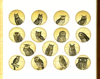 Wise Owl Circles Ceramic Decals, Glass Fusing Decals, Enamel Decals