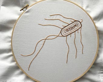 Custom Embroidered Salmonella Dish Towel
