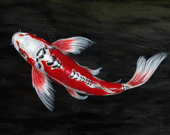Butterfly koi print from my original painting.