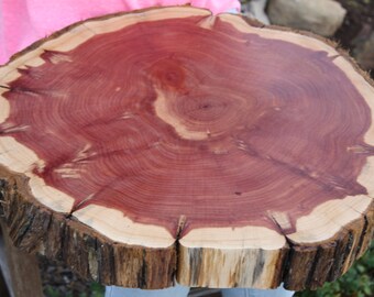LARGE, 18"- 22" Rustic Wedding Decorations, Tree Slice, Sanded + Finished, wedding cake base, cake stand, wood slice for centerpieces