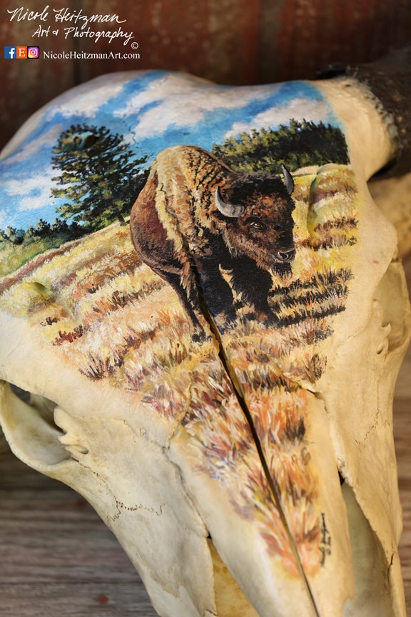 Painted Buffalo Skull Buffalo Art Original Acrylic Painting South Dakota Buffalo painting