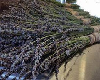 Lavender Seeds; Organic lavender seeds; aromatherapy herbs seeds;