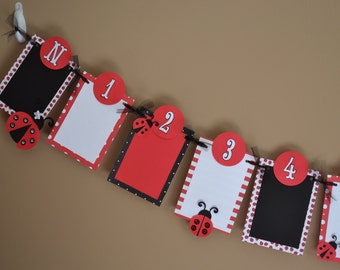 Ladybug Sparkle Newborn to 12 Months Photo Banner - Birthday Party - 1st Birthday