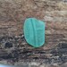 Flawless teal patterned sea glass