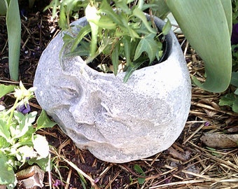 Concrete ROCK FACE PLANTER or Pot