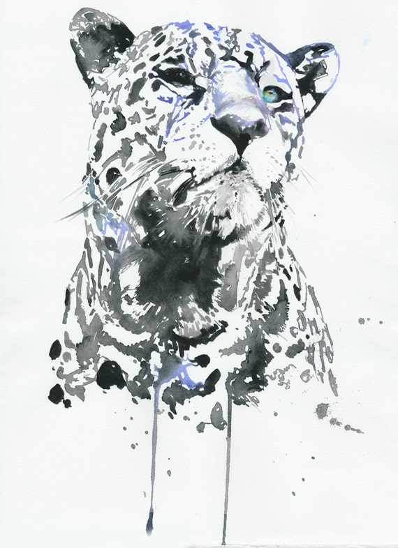 Leopard Print Watercolor Leopard Leopard Illustration