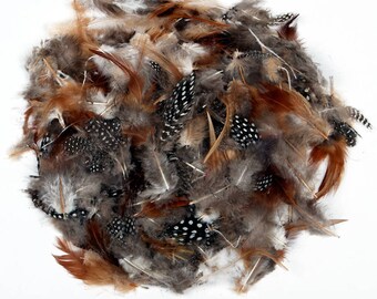 7g Natural Feathers For Crafts