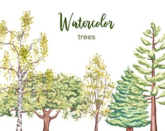 WATERCOLOR CLIPART, tree clipart, watercolor tree clipart, woodland clipart png, pine tree clipart, clipart set, forest clipart, scrapbook