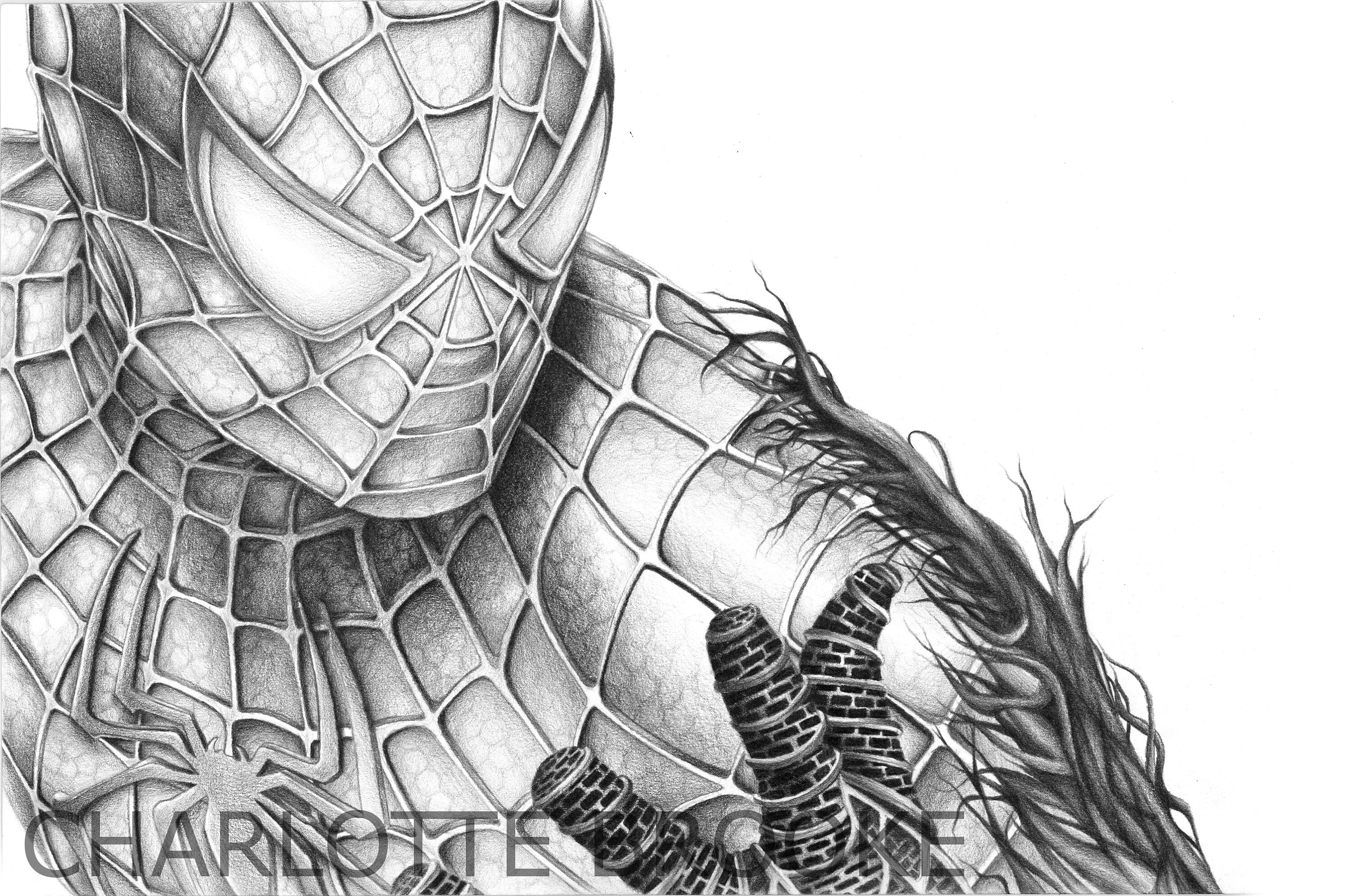 Spider-Man Pencil Drawing Portrait Print